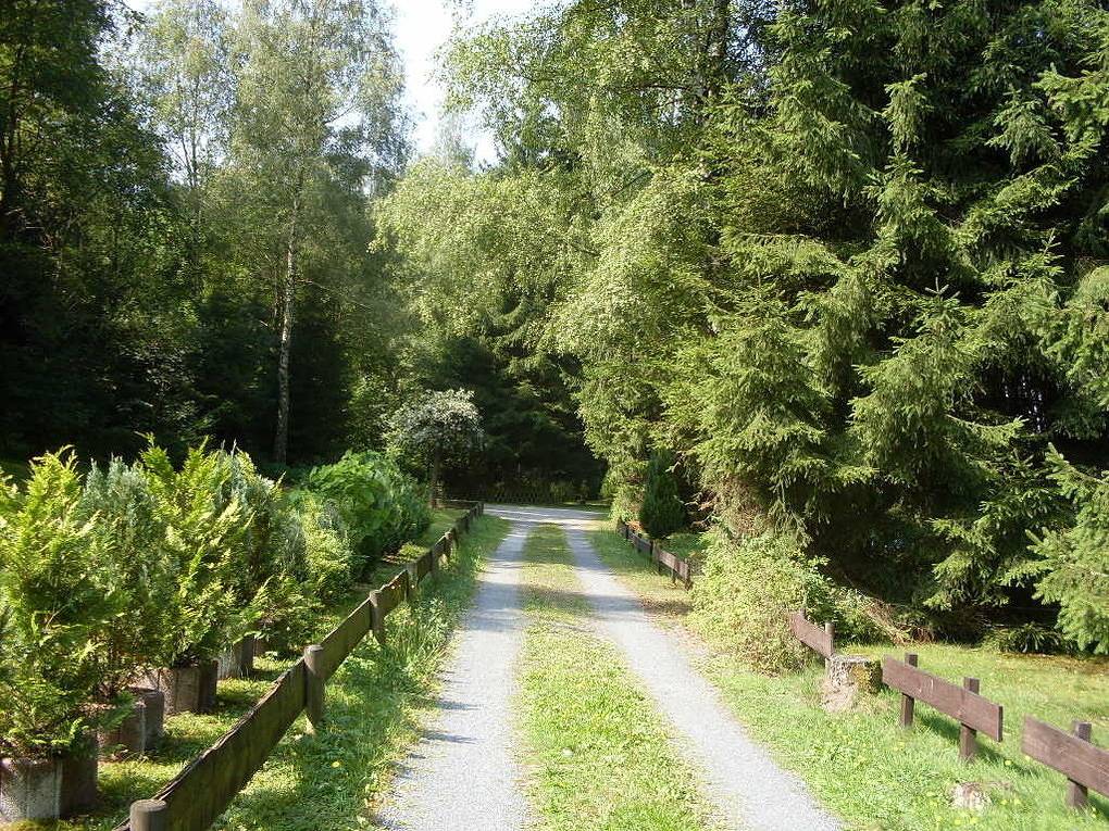 Ferienhäuser Am Waldschlößchen 1 in Lautenthal, Langelsheim