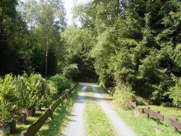 Maison De Vacances pour 4 Personnes dans Langelsheim, Westharz, Photo 4