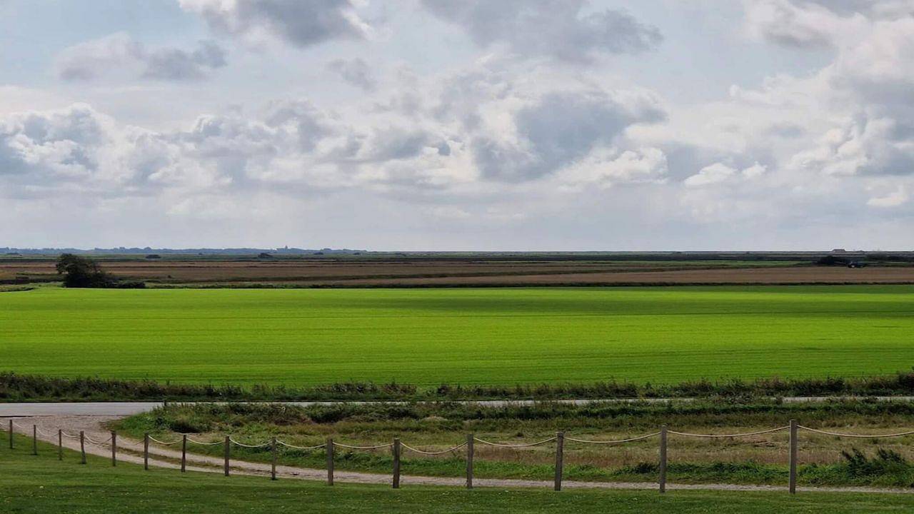Ferienhaus für 4 Personen (54 m²) in Skærbæk in Skærbæk, Tondern und Umgebung