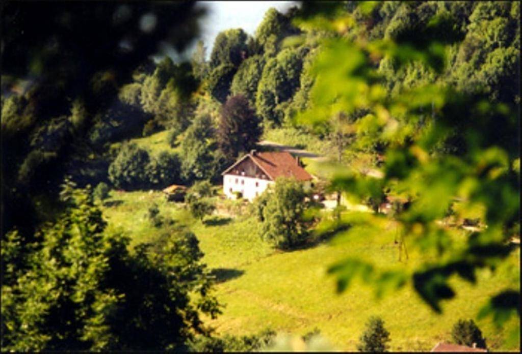 La Ferme du Vieux Sapin in La Bresse, Parc naturel régional des Ballons des Vosges