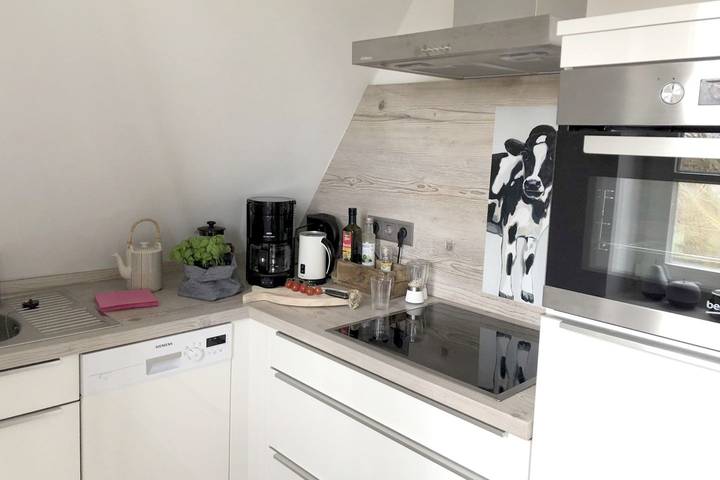 Ganze Wohnung, Ferienwohnung mit 2- Zimmern auf ca. 30m², Hyggelig in Wyk auf Föhr (Stadt), Wyk auf Föhr