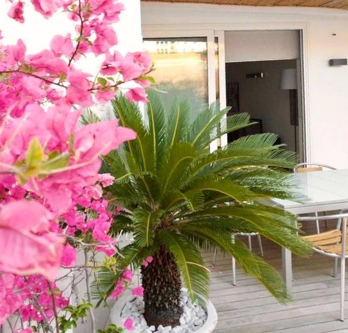 BnB für 2 Personen, mit Terrasse und Ausblick, mit Haustier in Bari