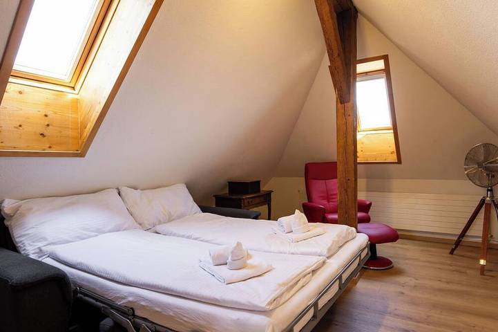 Ganze Wohnung, Spatzennest Appartement/Fewo Studio in Spiez, Thunersee