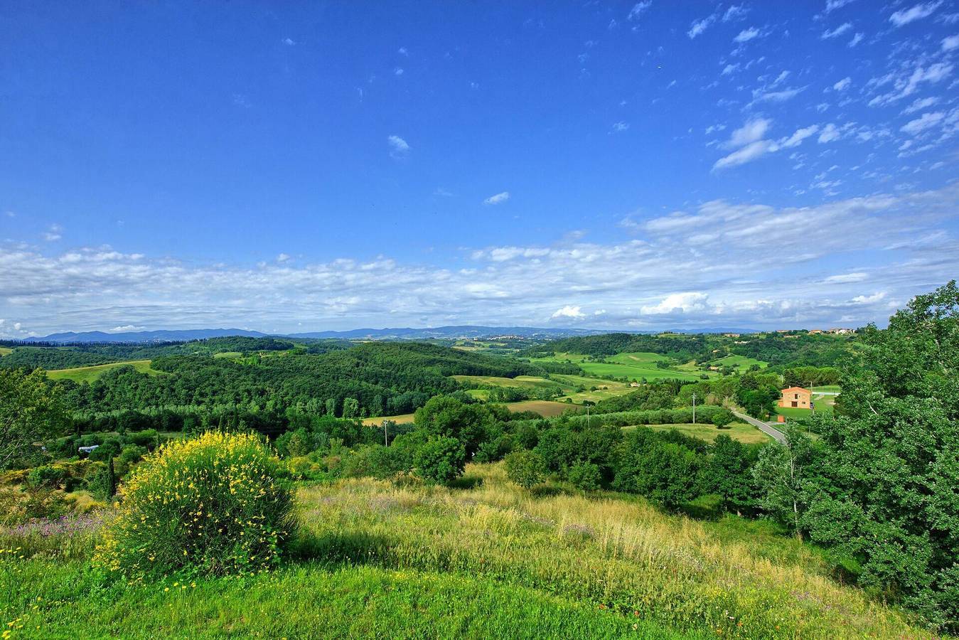 Villa für 8 Personen mit Pool in Peccioli, Pisa Provinz