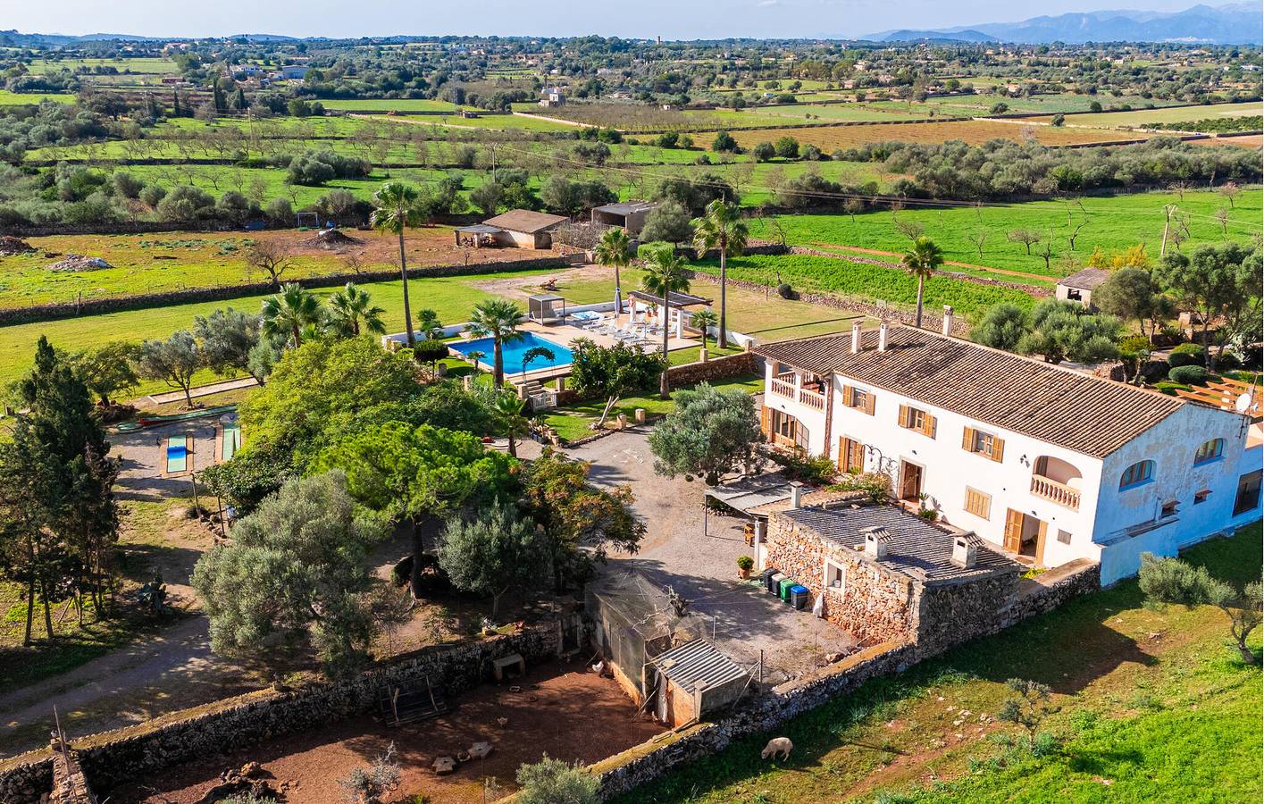 Sonnige Terrassenwohnung mit Pool und Grill in Santa Margalida, Mallorca Norden