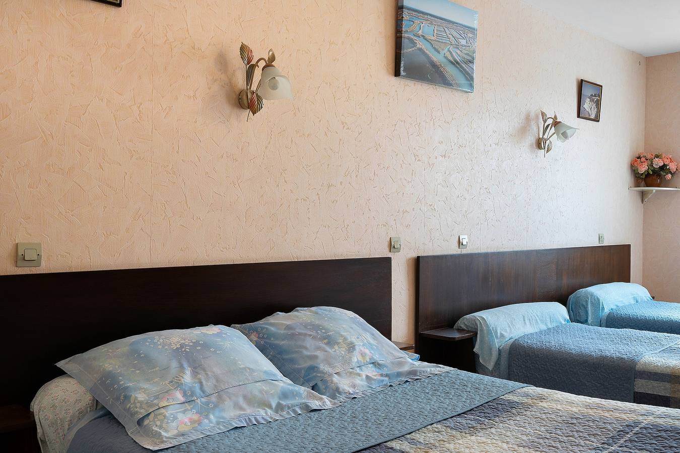 Bed and Breakfast 'Chambre D'hôtes Rose' with Shared Terrace, Private Garden and Wi-Fi in Semussac, Saintes region