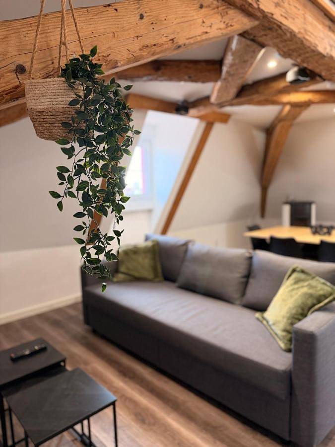 Gîte pour 6 personnes, avec vue et terrasse, animaux acceptés dans Logelbach