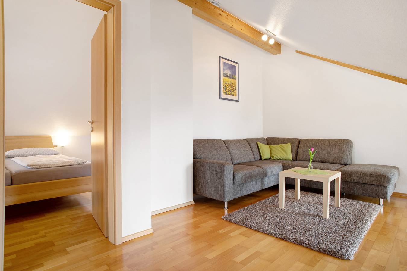 Ganze Wohnung, Ferienwohnung 5" mit Gemeinschaftsgarten, Balkon und Wlan in Wasserburg (Bodensee), Bayerisch Schwaben