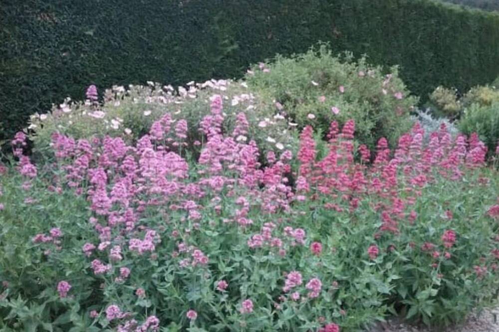 Mont Ventoux \"côté Ventoux\" in Le Barroux, Parc naturel régional du Mont-Ventoux