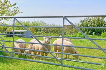 Villa for 6 People in Devon, England, Photo 4