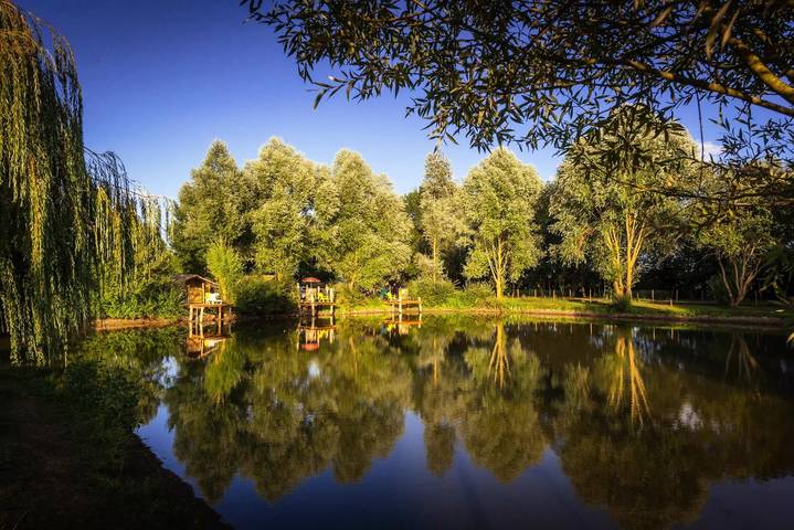 Camping pour 2 personnes, avec terrasse et piscine, animaux acceptés près des Châteaux de la Loire - 2