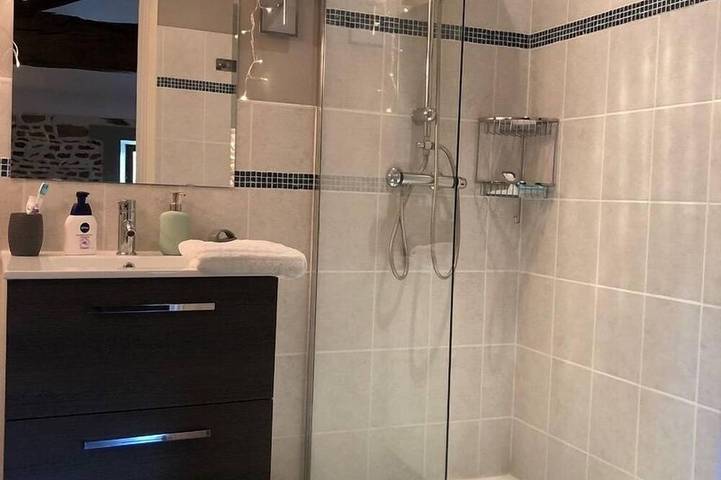 Gîte pour 4 personnes, avec jardin à Bussière-Poitevine - 3