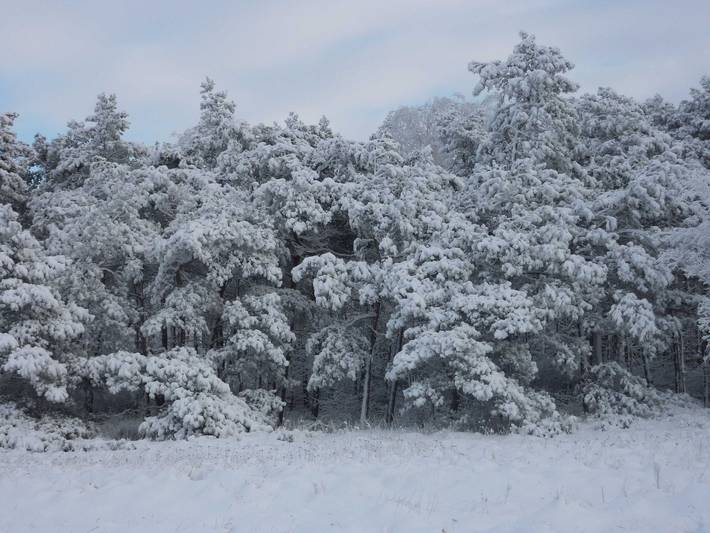 Ferienwohnung für 4 Personen, mit Garten und Seeblick sowie Ausblick, mit Haustier in Garz/Rügen - 3