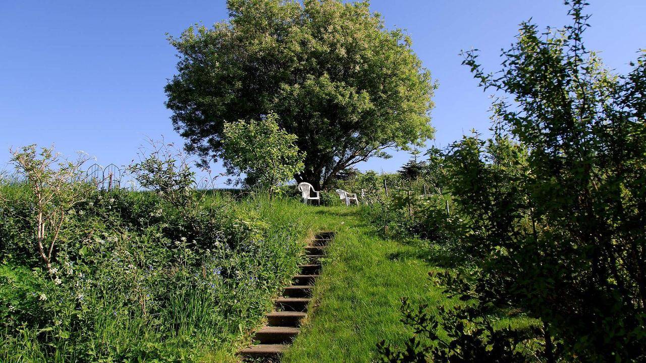 Ferienhaus für 6 Personen (73 m²) in Knebel in Skødshoved, Knebel