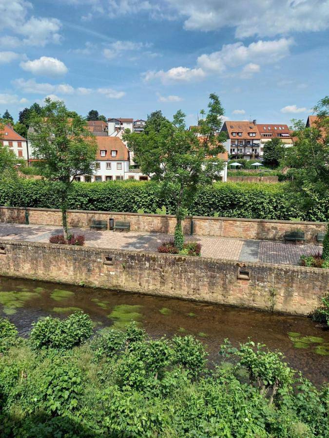 Ferienwohnung für 3 Personen, mit Ausblick in Erbach im Odenwald - 3