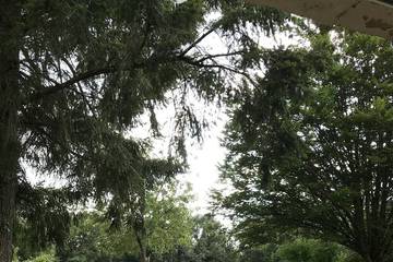 Location de vacances pour 10 personnes, avec jardin, animaux acceptés à Felzins