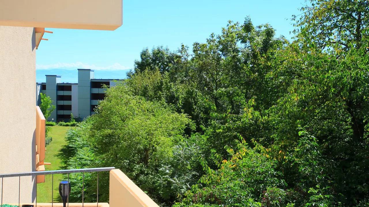 Ganze Ferienwohnung, Ferienwohnung für 4 Personen (68 m²) in Immenstaad am Bodensee in Immenstaad, Immenstaad am Bodensee
