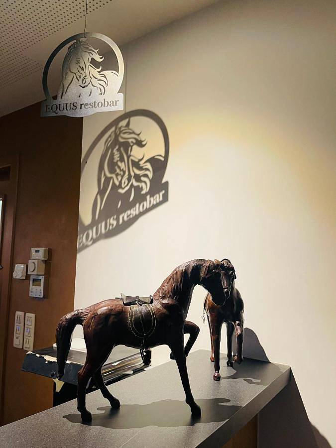 Equus B&B in Bredene, Belgische Kust