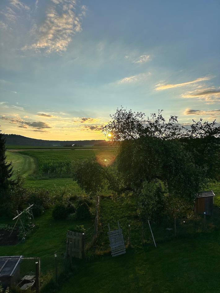 Ferienhaus für 5 Personen, mit Balkon/Terrasse und Balkon in Furth im Wald - 4