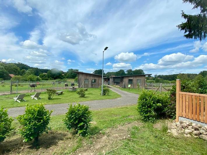 Ferienhaus für 10 Personen, mit Terrasse und Ausblick in Bad Fallingbostel - 3