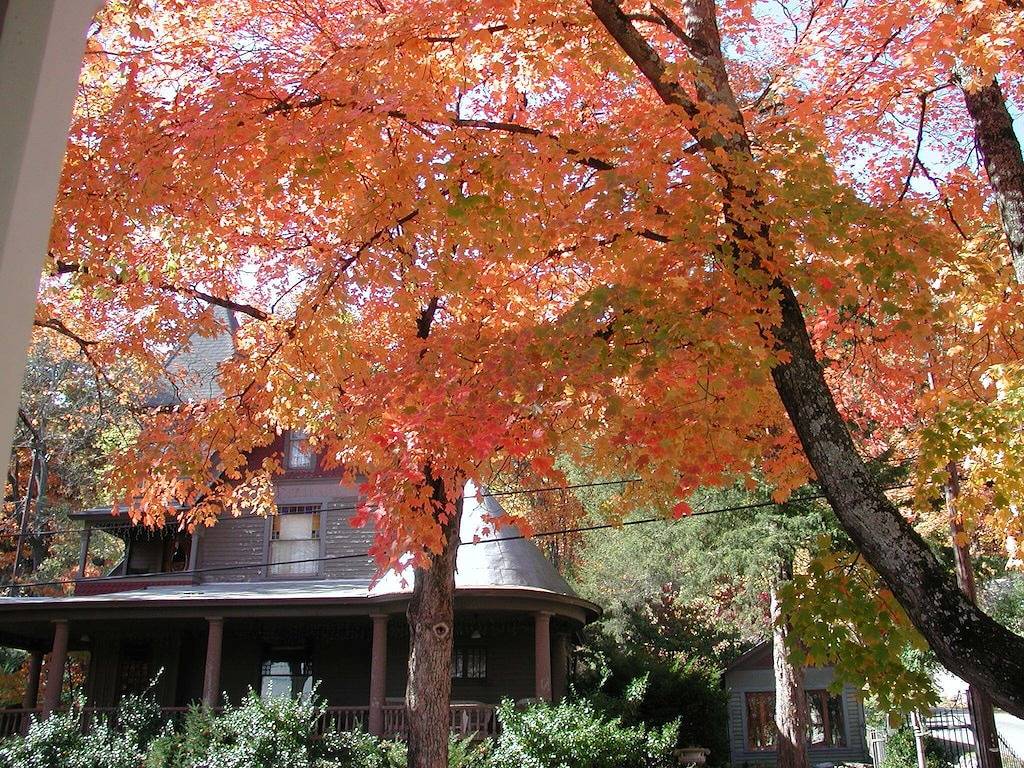 Das beste historische Viertel Victorian Cottage in Eureka Springs in Eureka Springs, Carroll County (AR)