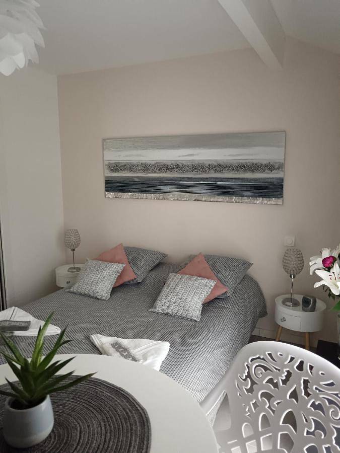 Gîte pour 2 personnes, avec terrasse et jardin à Saint-Médard-en-Jalles - 3