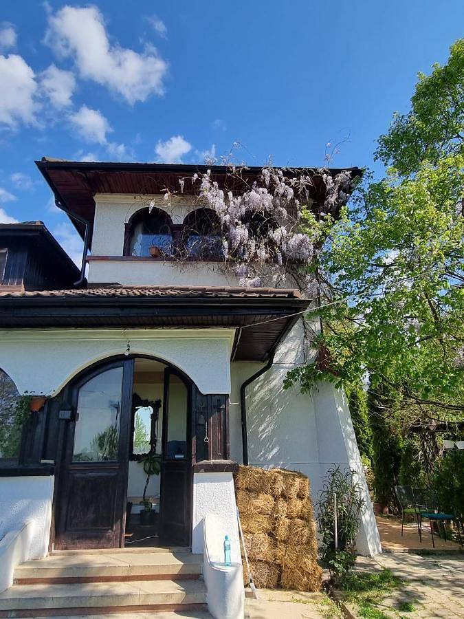 Gîte pour 2 personnes, avec piscine ainsi que vue et jardin, animaux acceptés dans Giurgiu - 3