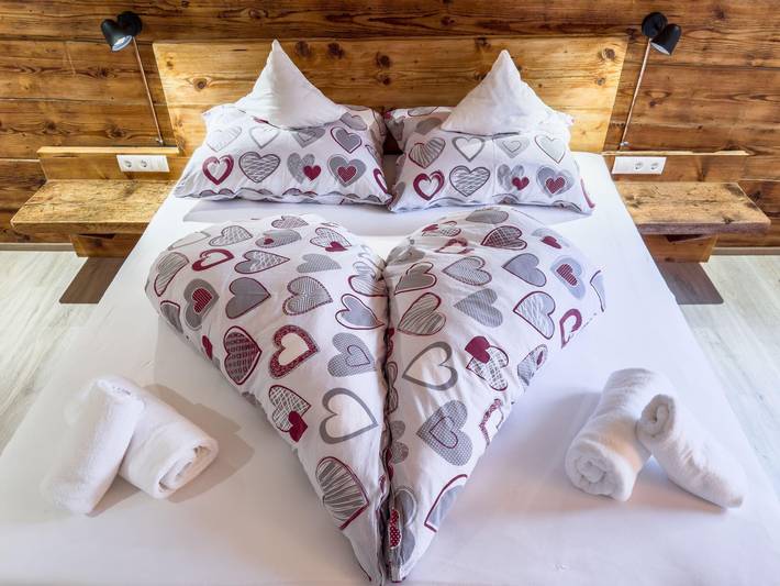 Ganze Ferienwohnung, Doppelzimmer, Dusche, Wc, Balkon in Sankt Gallenkirch (Stadt), Sankt Gallenkirch