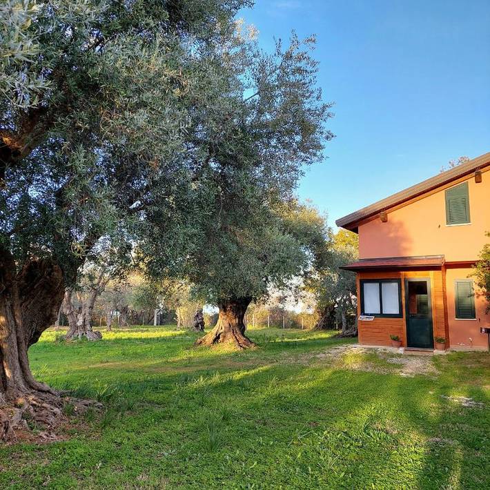 Ferienwohnung für 2 Personen, mit Terrasse und Garten sowie Pool und Ausblick in Rossano - 4
