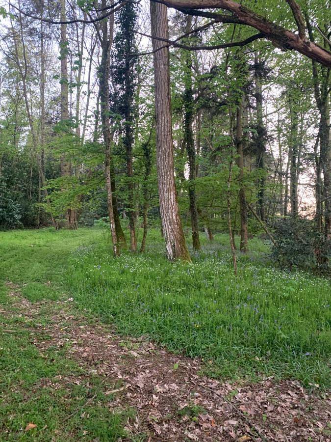 Location de vacances pour 3 personnes, avec vue et jardin à Janzé - 4