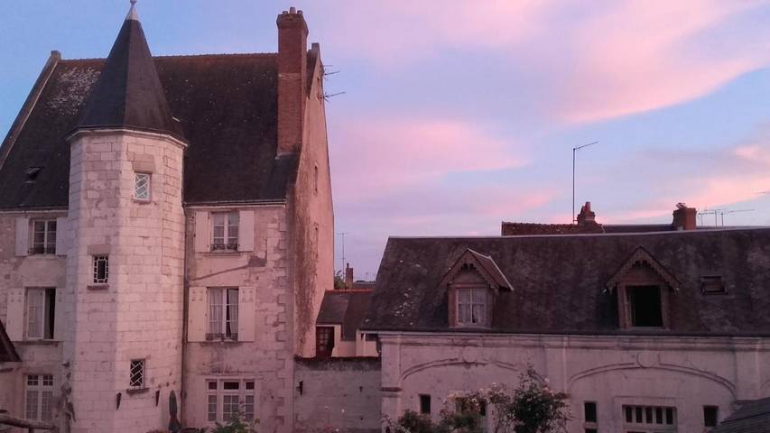 Gîte pour 4 personnes, avec Terrasse et Jardin ainsi que Piscine et Vue dans Montrichard Val de Cher - 4