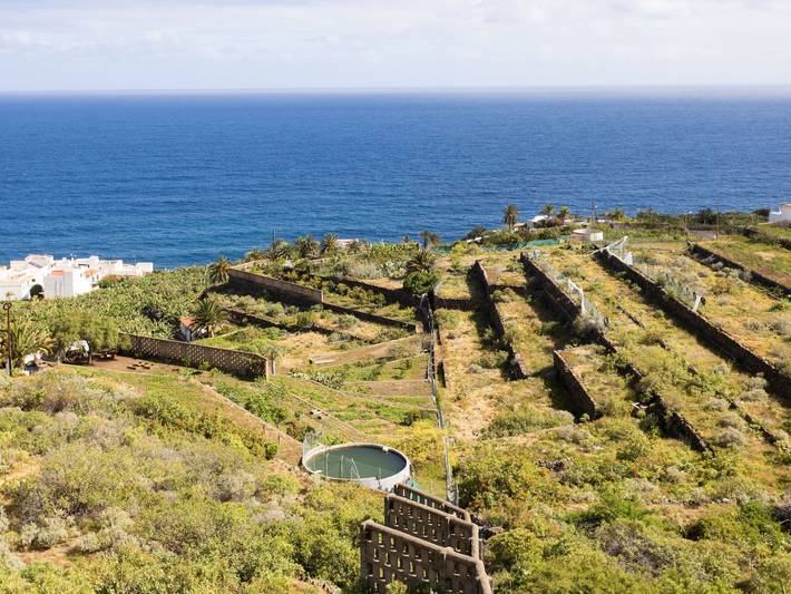 Gîte pour 3 personnes, avec balcon à San Juan de la Rambla - 4