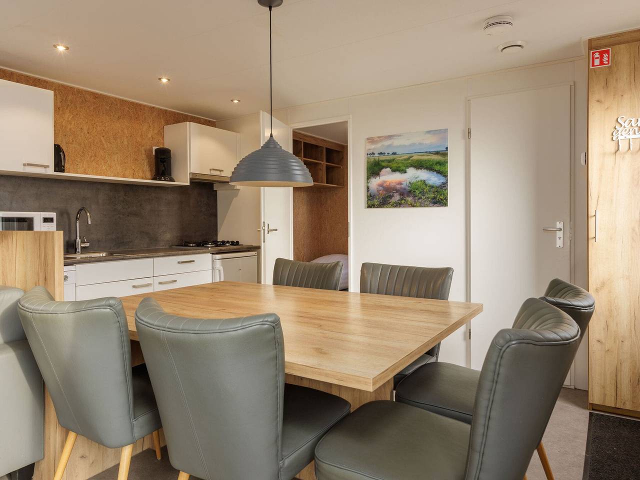 Modern chalet nabij Hunebedcentrum in Borger, Drenthe