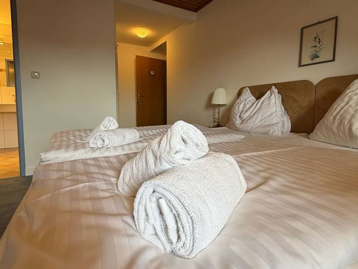 Landhaus Meingast - Doppelzimmer ohne Balkon 6 in Mondsee (Stadt), Mondsee & Irrsee