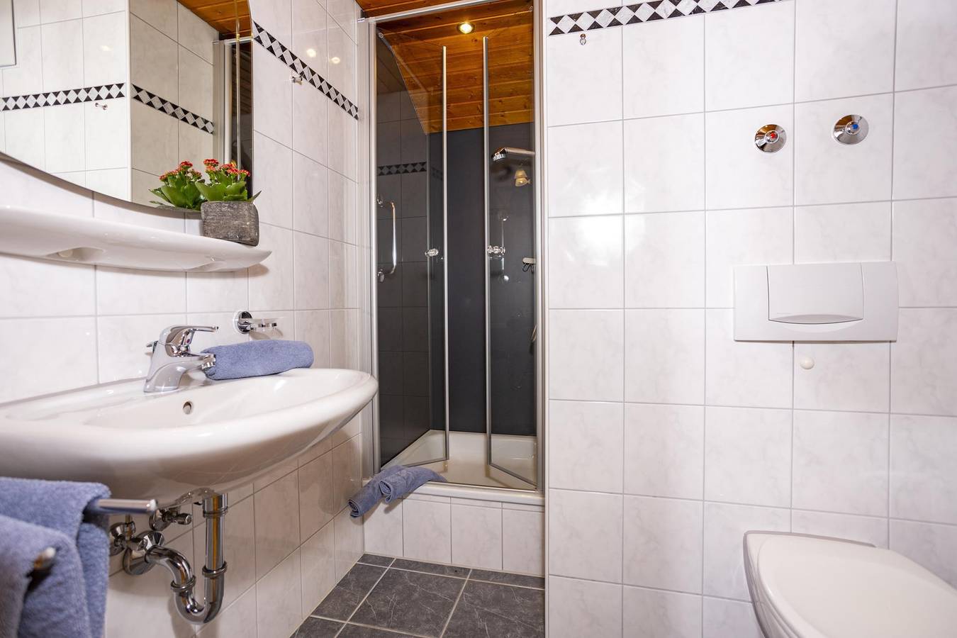 Ganze Ferienwohnung, Apartment/1 Schlafraum/Dusche, Wc, Top 4 in Mittelberg, Kleinwalsertal
