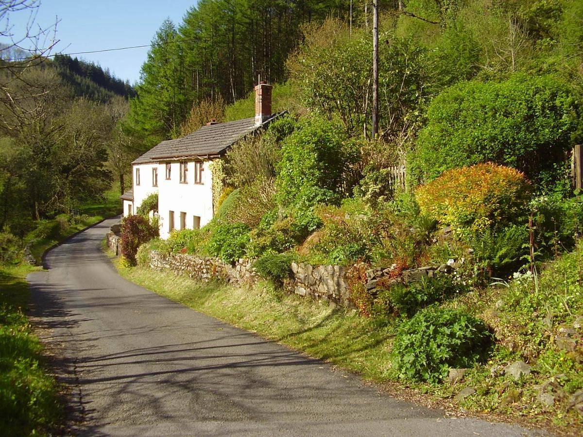'Morris' the shepherd's hut ,woodland hot tub available, separate fee in Carmarthenshire