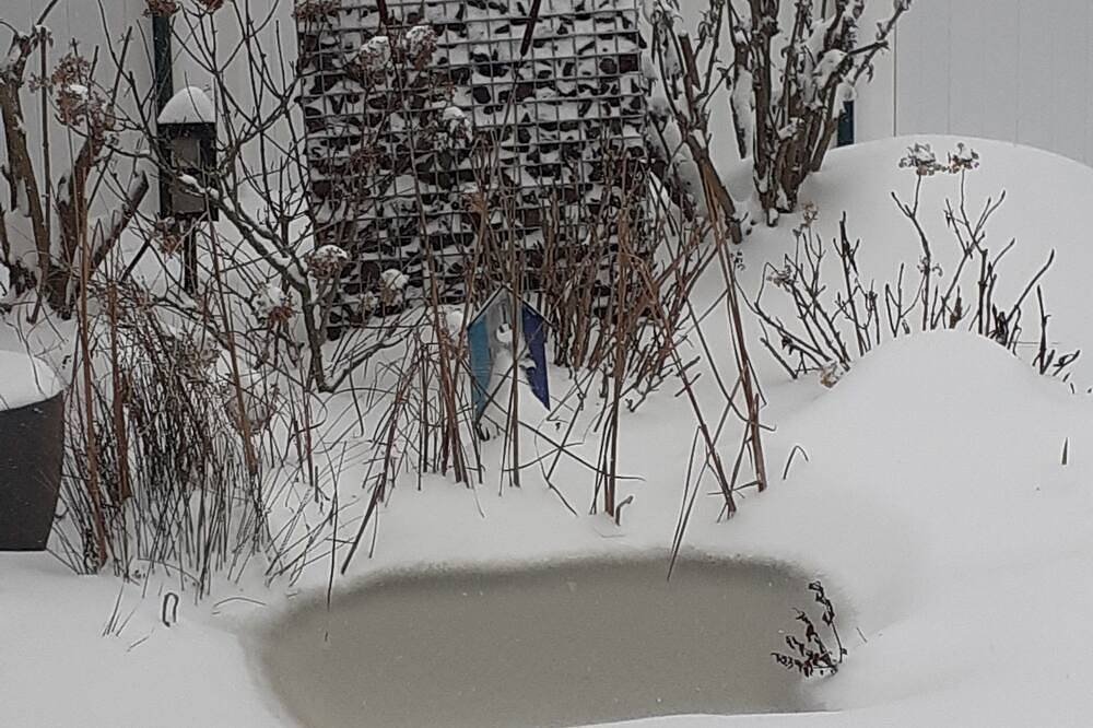 Ganze Wohnung, Ferienwohnung Spatzennest Kalkar - Spatzennest in Kalkar, Niederrhein
