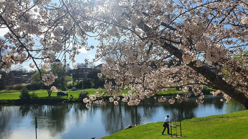 Cottage for 4 people, with terrace and hot tub as well as garden in Tasmania