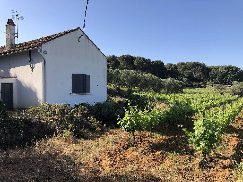 A 1,5 km de la mer Maison individuelle au calme in Six-Fours-les-Plages, Côte méditerranéenne (France)