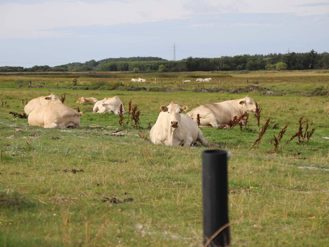 6 person feriebolig i Sæby in Sæby, Nordøstjylland