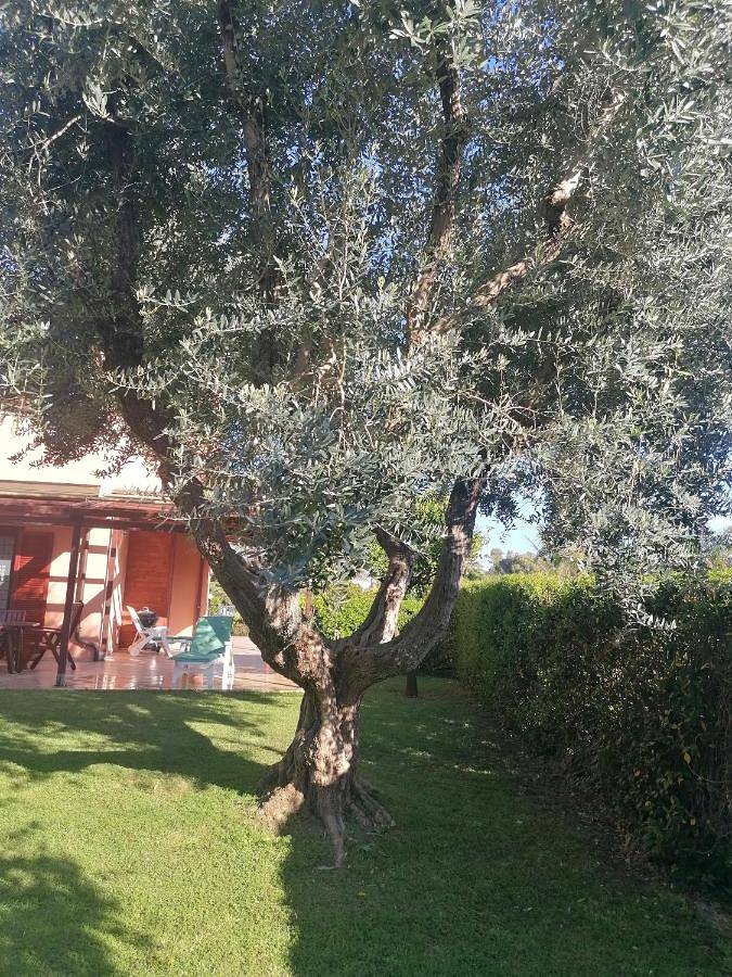 Villa vicino al mare in Fiumicino, Provincia di Roma