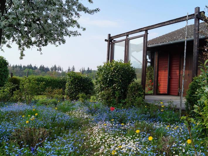 Ferienhaus für 2 Personen, mit Terrasse und Garten im Hunsrück - 4