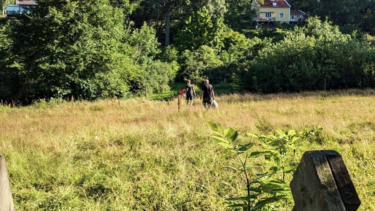 Ferienhaus für 4 Personen (45 m²) in Ingarö in Artipelag, Stockholmer Schärengarten