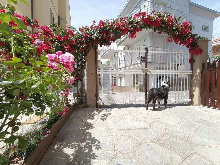 Apartamento de vacaciones para 6 personas, con balcón, Se admiten mascotas - 1