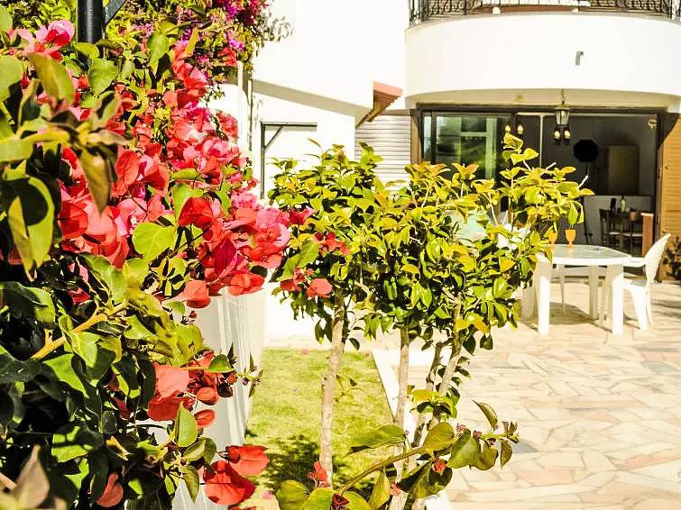 Apartamento entero, 1 Habitación 3 Personas in Praia dos Pescadores (Ericeira), Ericeira