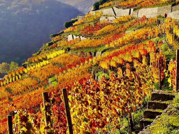 Ferienwohnung für 6 Personen, mit Balkon in Bad Neuenahr - 4