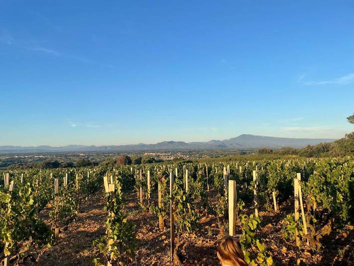 Gîte pour 2 personnes, avec terrasse, animaux acceptés à Courthézon - 4