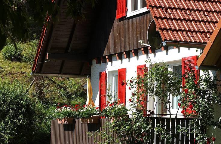 Ferienhaus für 4 Personen, mit Balkon und Garten in Schenkenzell - 3