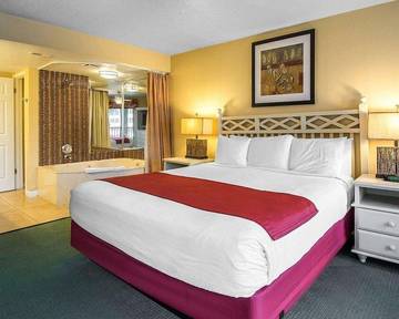 Vacation Home for 8 Guests in Orlando, Orange County (FL), Picture 4