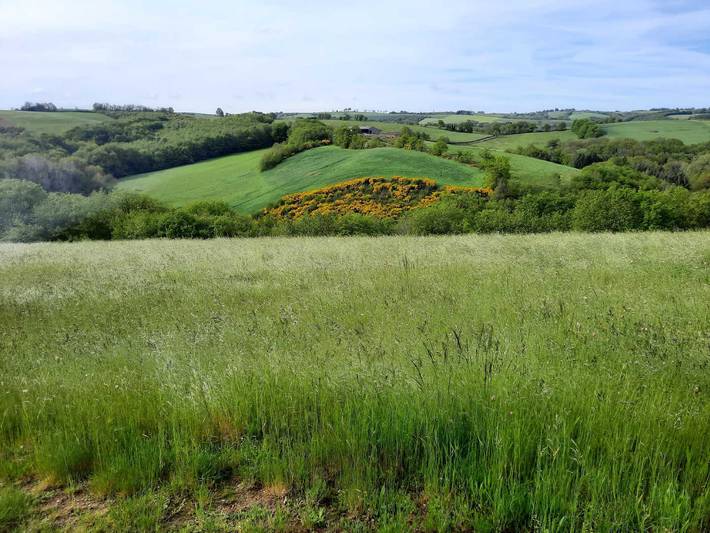 Gîte pour 4 personnes à Paulinet - 2
